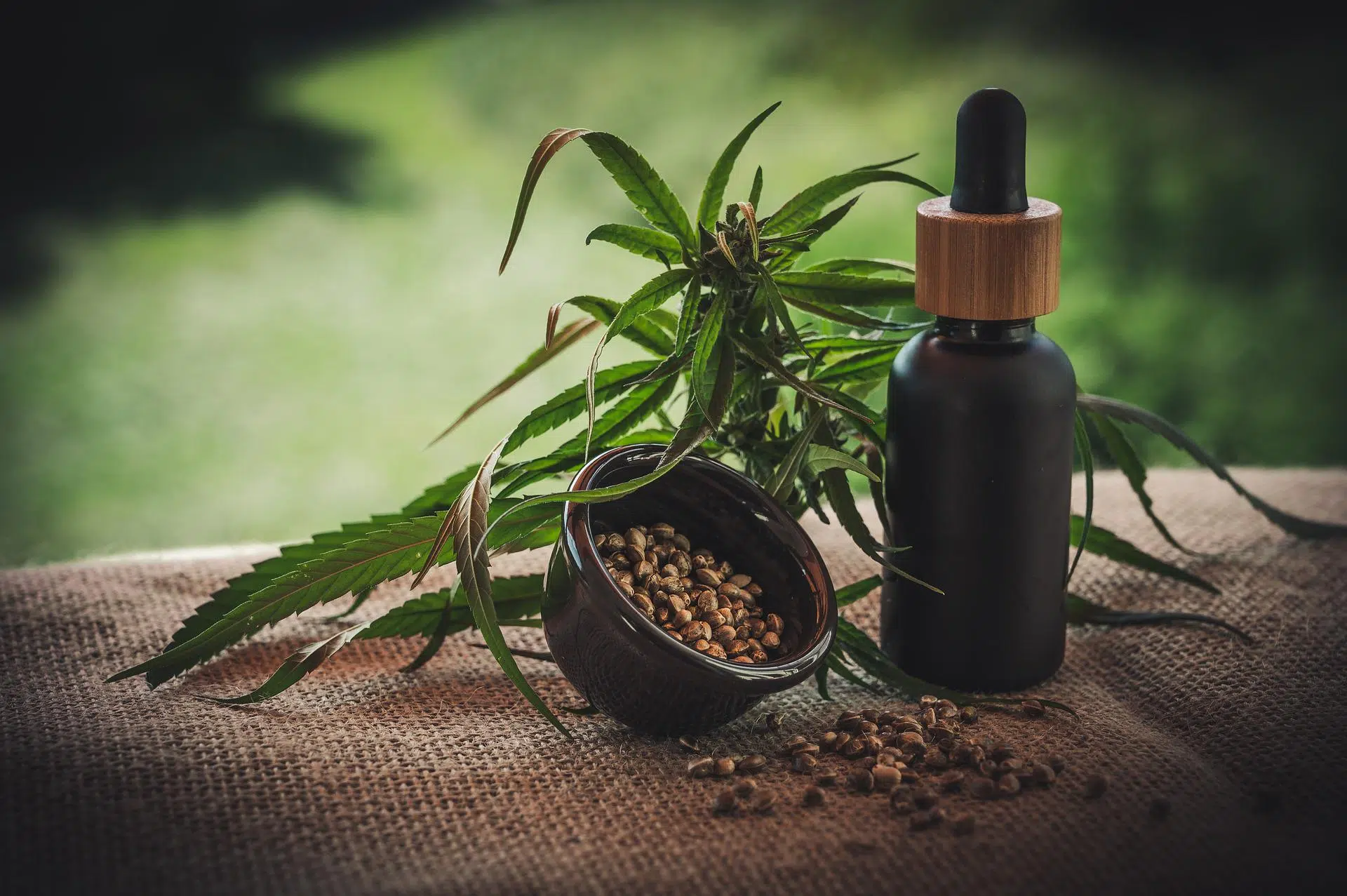 Tout savoir sur les effets du CBD