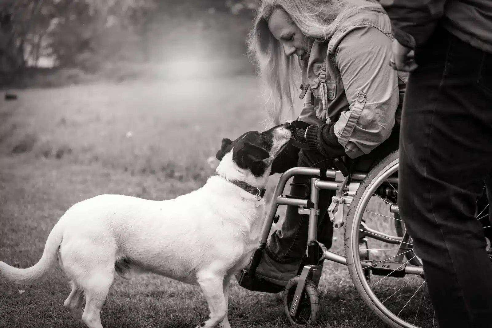 Comment bien choisir son fauteuil roulant ?